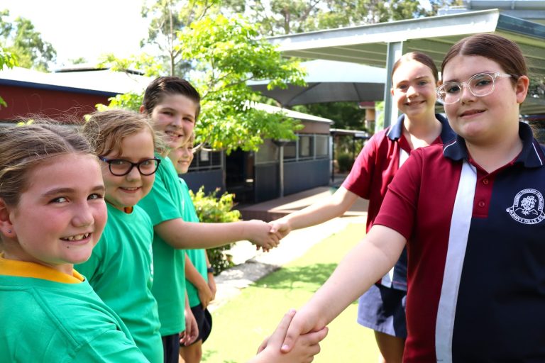 Albany Hills State School